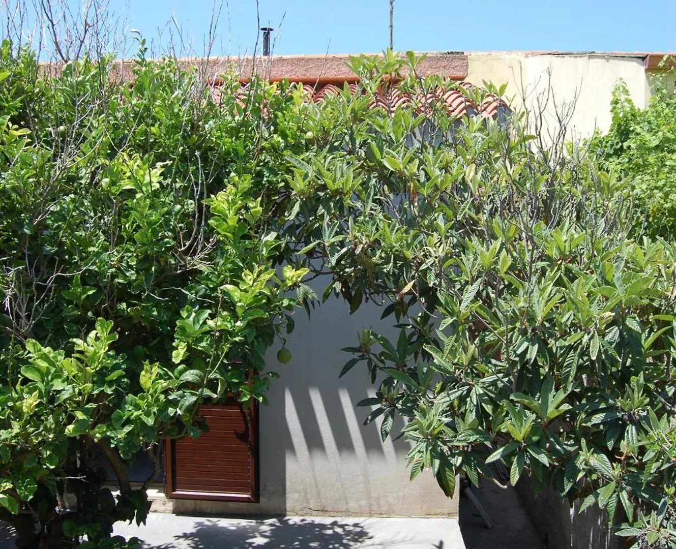 Andrea E Valentina Bed & Breakfast S'archittu Cuglieri