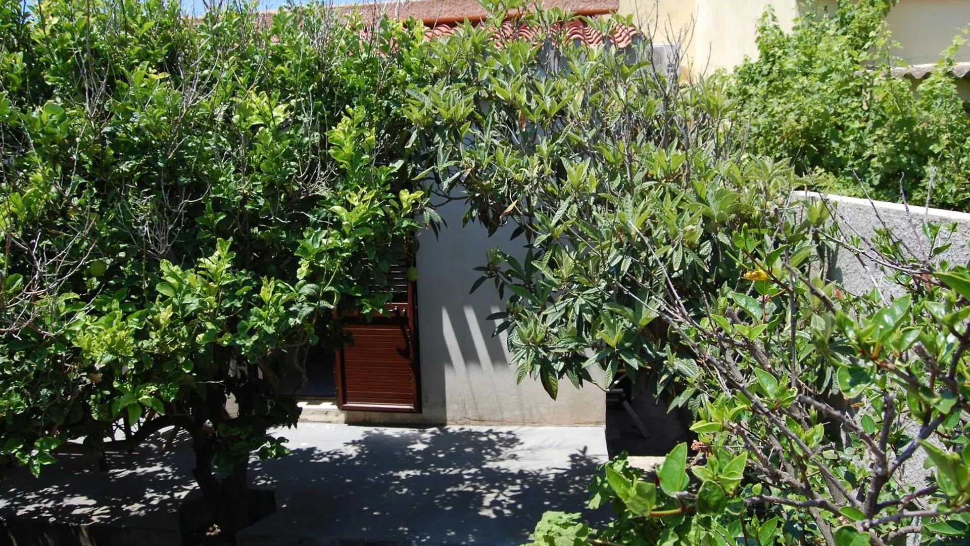 Andrea E Valentina Bed & Breakfast S'archittu Cuglieri
